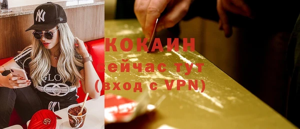 соль ск Пересвет
