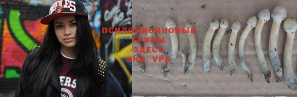 молекула духа Белая Холуница