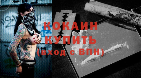 соль ск Пересвет